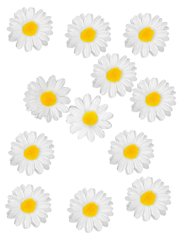 12 Marguerite 3,5 cm ukrasi za stol