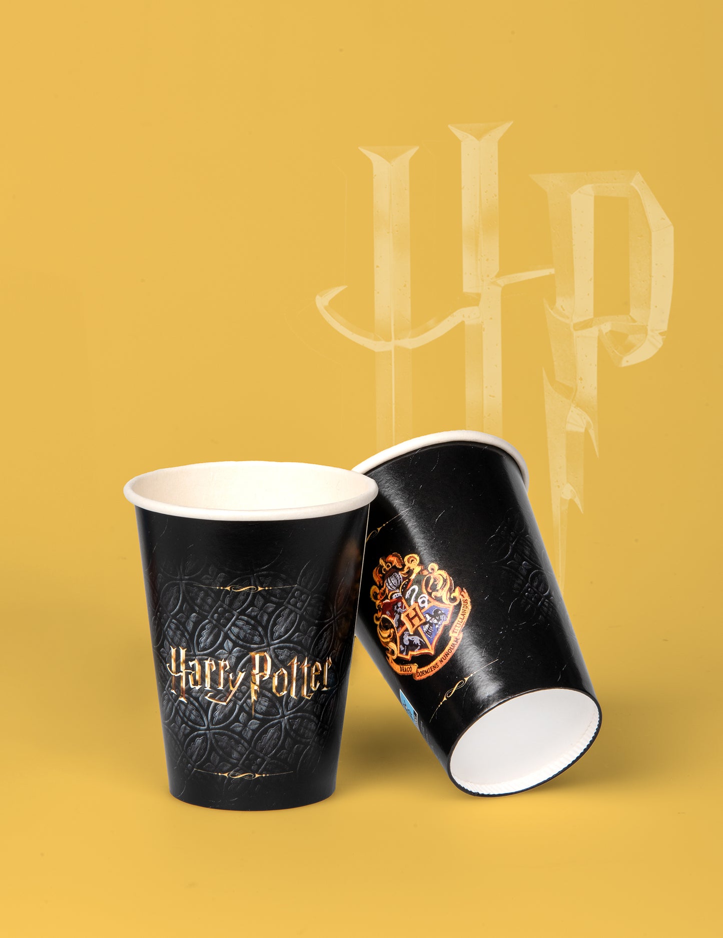 8 Kućica s kartonima FSC Harry Potter 210 ml