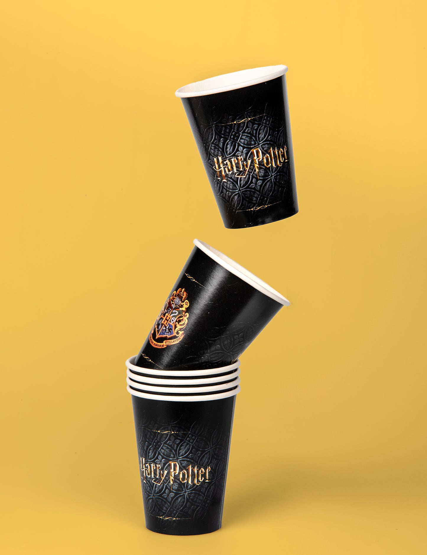 8 Kućica s kartonima FSC Harry Potter 210 ml