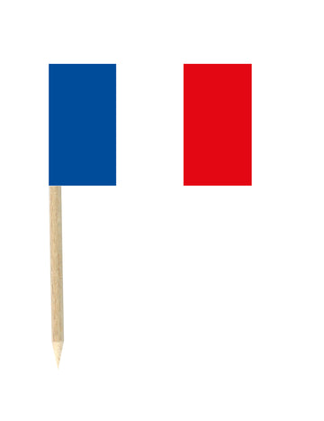 Set od 50 mini-piques France Flags